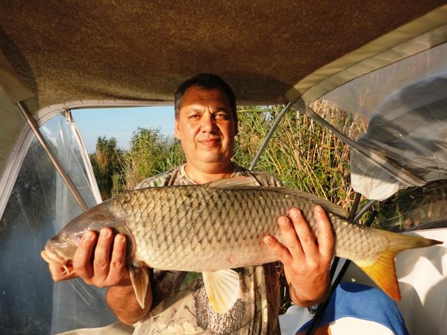 delta rosu 2011 - dsc00862.JPG